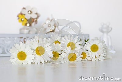 Office desk feminine Stock Photo