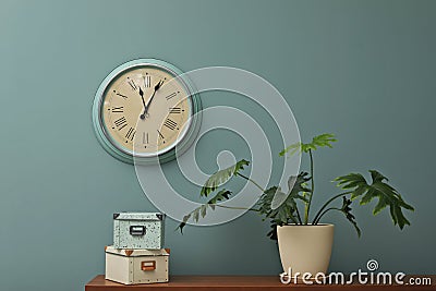 Office interior with houseplant and clock on wall Stock Photo