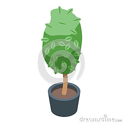 Office tree pot icon isometric vector. Flower plant Vector Illustration