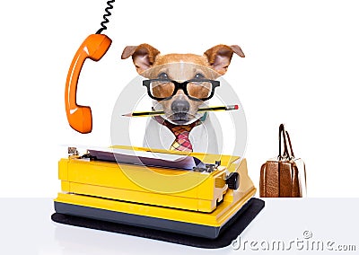 Office worker boss dog Stock Photo