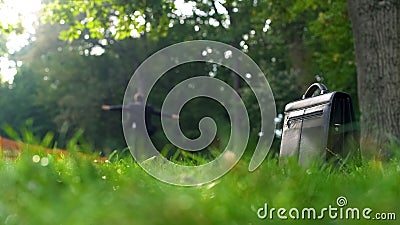 Office worker dancing on background, briefcase standing on grass, happiness Stock Photo