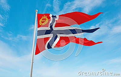 official flag of Inspector General of the Norwegian Home Guard Cartoon Illustration