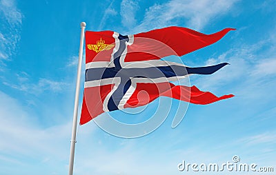 official flag of Inspector General of the Royal Norwegian Air Fo Cartoon Illustration