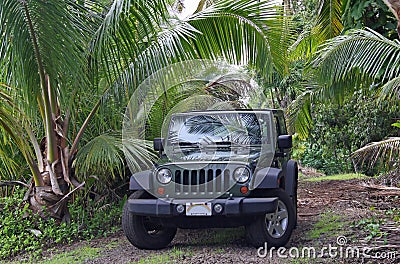 Offroad Hawaii Stock Photo