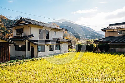 Rice field and house at Ohara countryside village in Kyoto, Japan Stock Photo