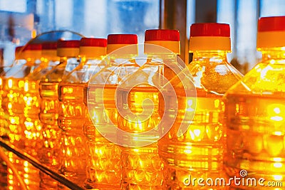 Oil in bottles. Industrial production of sunflower oil. Conveyor Stock Photo