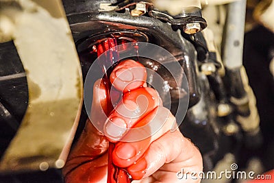 Oil change in automatic transmission. Filling the oil through the hose. Car maintenance station. Red gear oil. The hands of the ca Stock Photo