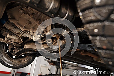 Oil change in automatic transmission. Filling the oil through the hose. Car maintenance station. Red gear oil. The hands Stock Photo