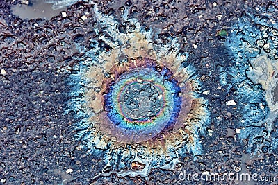 Oil dripped from the car engine onto the road Stock Photo