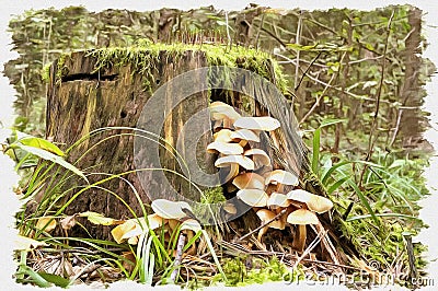 Colony of toadstools on a stump. Imitation of a picture. Oil paint. Illustration Stock Photo