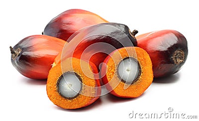 Oil palm fruit Stock Photo