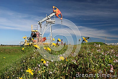 Oil pump in field Stock Photo