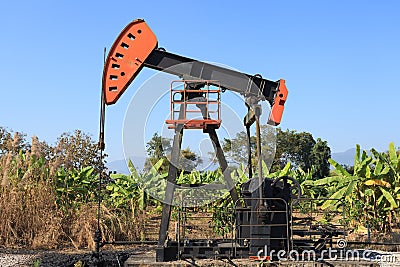 Oil Pump Jack (Sucker Rod Beam) in The Banana Field Stock Photo