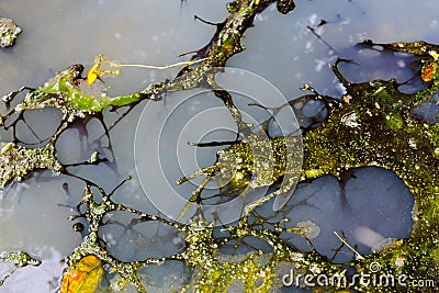 Oil Slick and dirty water flow out of the sewer,pollution and en Stock Photo
