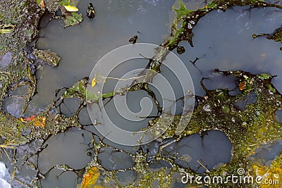 Oil Slick and dirty water flow out of the sewer,pollution and en Stock Photo