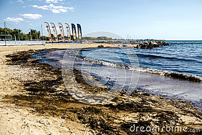 Oil spill clean up in Agios Kosmas bay, Athens, Greece, September 14 2017. Editorial Stock Photo