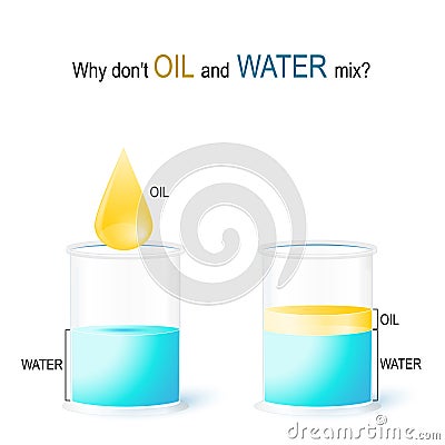 OIL and WATER. school experiment Vector Illustration