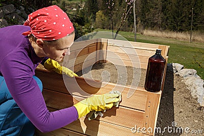 Oiling a new wooden raised garden bed Stock Photo