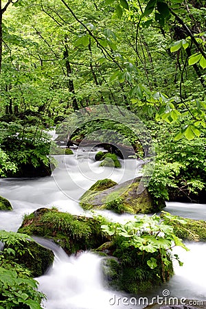 Oirase-gawa River Stock Photo