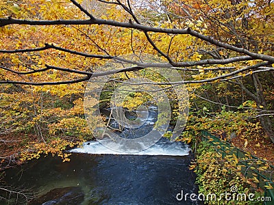 Oirase Streams, Aomori, Japan Stock Photo