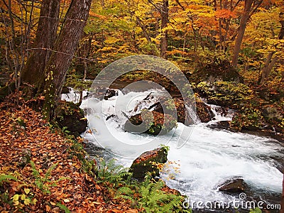 Oirase Streams, Aomori, Japan Stock Photo