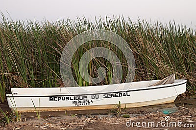 Boat in the Oiseaux du Djoudj National Park. Editorial Stock Photo