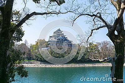 Okayama castle with sakura blooming season Editorial Stock Photo