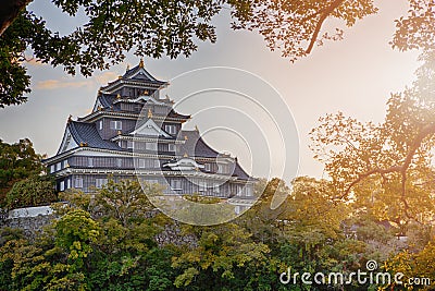 Okayama Crow Castle or Ujo Castle in Okayama City on the Asahi River in Japan With Vivid Sunlight in The Frame Stock Photo