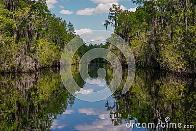 Scenic View of Okefenokee National Park in Georgia Stock Photo