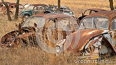 OKEMAH, OK - 2 MAR 2020: Volkswagon Beetle cars located in a field Stock Photo