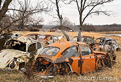 OKEMAH, OK - 2 MAR 2020: Volkswagon car junkyard located in a field Stock Photo