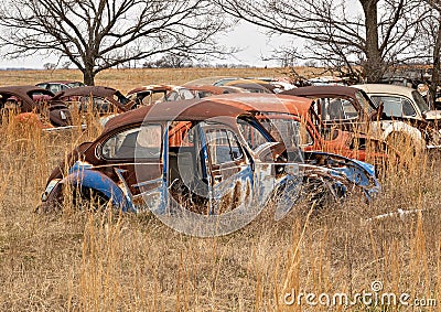 OKEMAH, OK - 2 MAR 2020: Wrecked Volkswagon Beetle cars in a field Stock Photo
