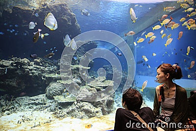 Okinawa Aquarium Editorial Stock Photo