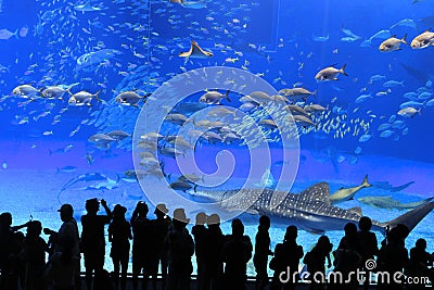 Okinawa Aquarium Editorial Stock Photo