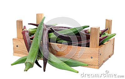 Okra (Abelmoschus) Stock Photo