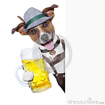 Oktoberfest dog Stock Photo