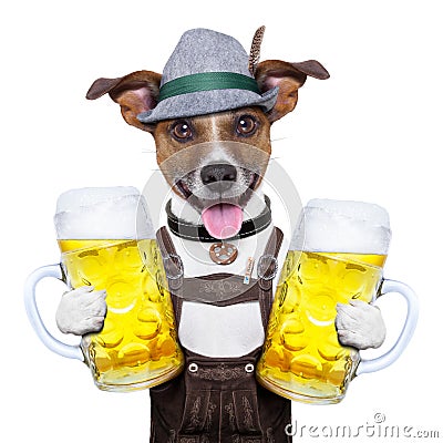 Oktoberfest dog Stock Photo