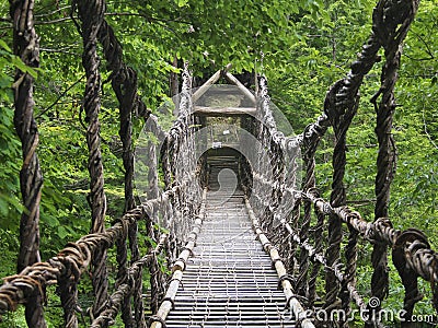 Oku-Iya double vine bridge or Oku-Iya Nijuu Kazura bridge. A suspension bridge made of the plant called Shirakuchikazura. Stock Photo