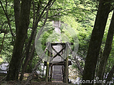 Oku-Iya double vine bridge or Oku-Iya Nijuu Kazura bridge. A suspension bridge made of the plant called Shirakuchikazura. Stock Photo