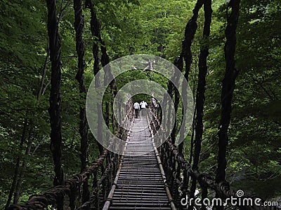 Oku-Iya double vine bridge or Oku-Iya Nijuu Kazura bridge. A suspension bridge made of the plant called Shirakuchikazura. Stock Photo