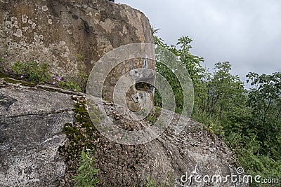 Old abandoned bunker in the woods. Military Fort. Fort number 10, Vladivostok, Russia Stock Photo