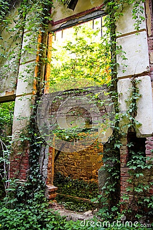 Old abandoned concrete factory structure overtaken by nature / Rusty old ruinous and abandoned building of factory. Stock Photo