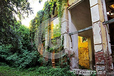 Old abandoned concrete factory structure overtaken by nature / Rusty old ruinous and abandoned building of factory. Stock Photo