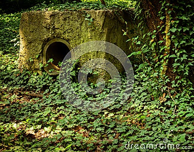 Old abandoned drainage station covered in vines Stock Photo