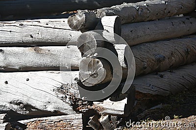 Old abandoned hand built log cabin Stock Photo