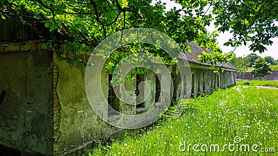 Old abandoned long house in poor condition. Bars and cracked panes in the windows. Around the tree and dandelions in the grass. Stock Photo