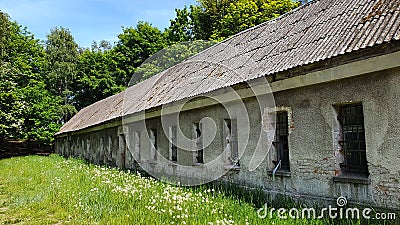 Old abandoned long house in poor condition. Bars and cracked panes in the windows. Around the tree and dandelions in the grass. Stock Photo