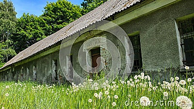 Old abandoned long house in poor condition. Bars and cracked panes in the windows. Around the tree and dandelions in the grass. Stock Photo