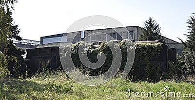 Old abandoned overgrown railroad car Stock Photo