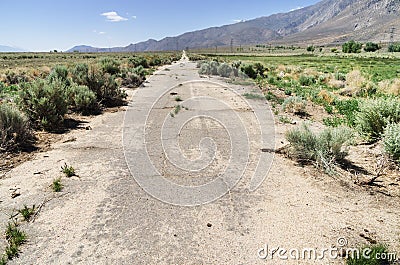 Old Abandoned Paved Road Stock Photo